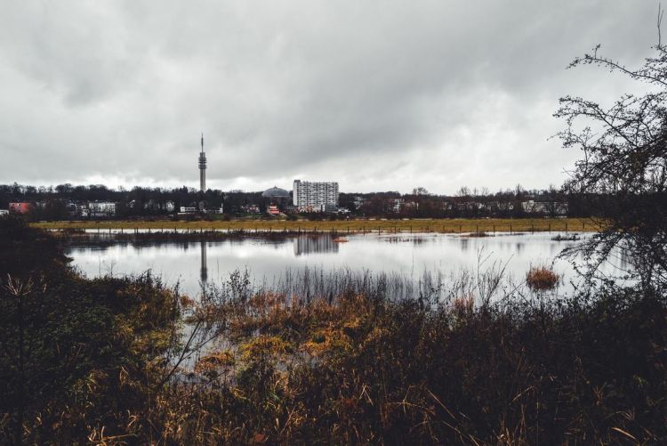 Foto van een landschap